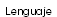 &nbsp;Lenguaje